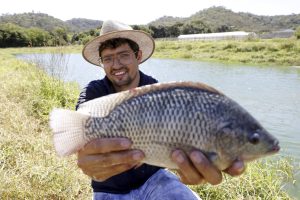 Agro do Quadrado: Criação de pescados bate recorde com formalização de produtores rurais